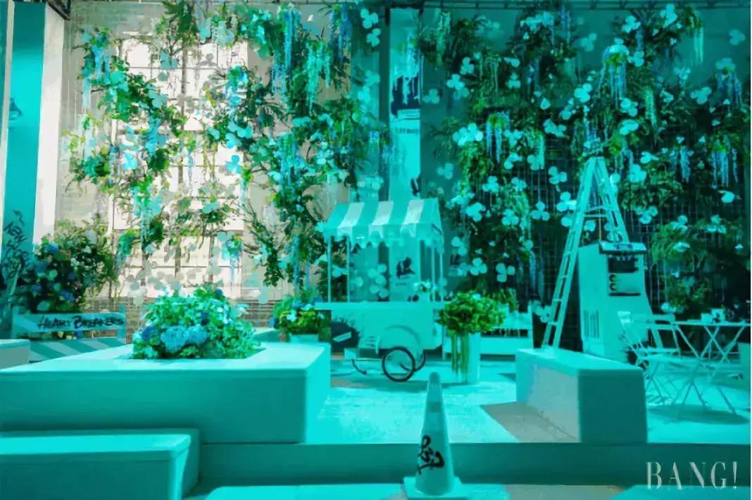 blackpink快闪店,快闪店的创意视频