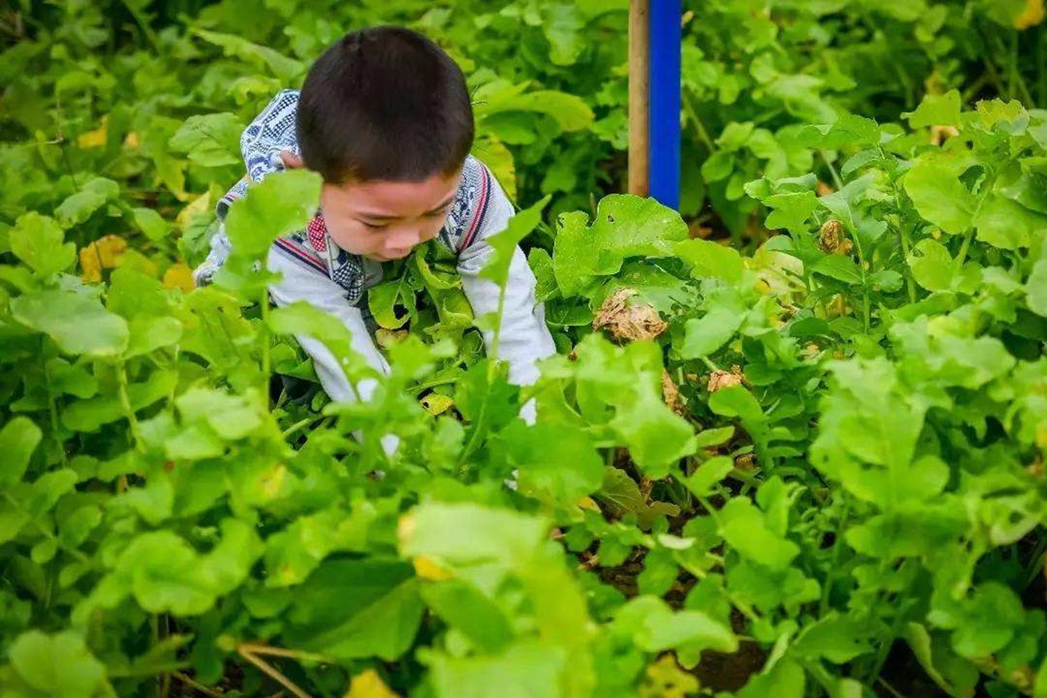 “躺赢父母”全都是“佛系带娃”?背后的心思,都花在这些细节里