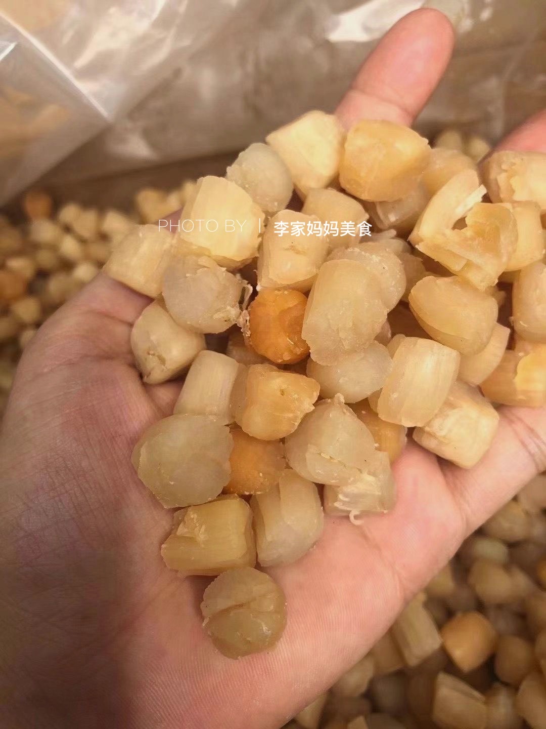 清明前后海鲜,清明前有哪些海鲜当季