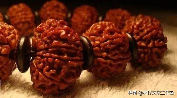 金刚菩提108颗都有什么皮质,金刚菩提的挑选