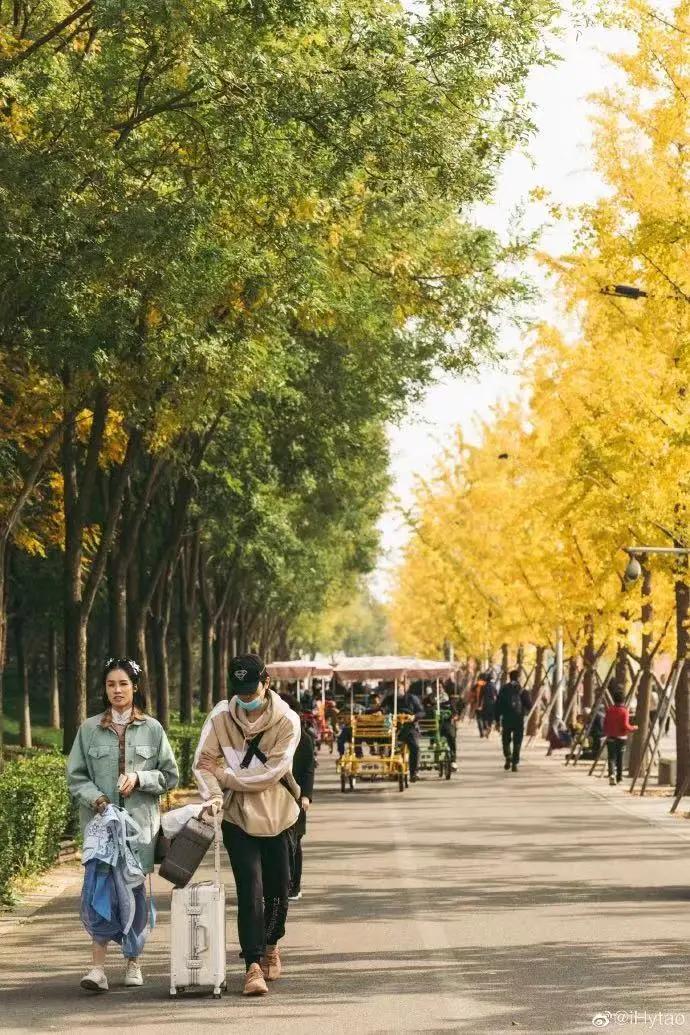 创森进行时丨立冬后，我把丰台的秋，收进了相册里