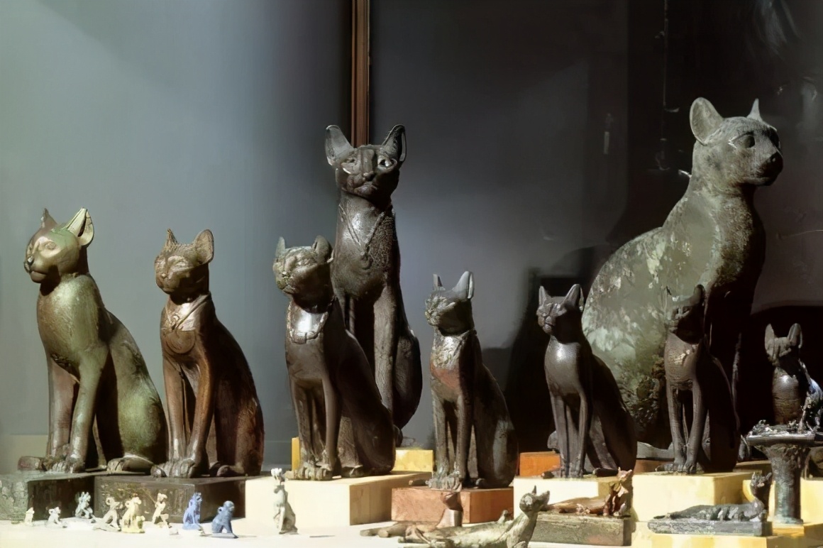 人类对猫的发展史,猫在人类发展历史的地位