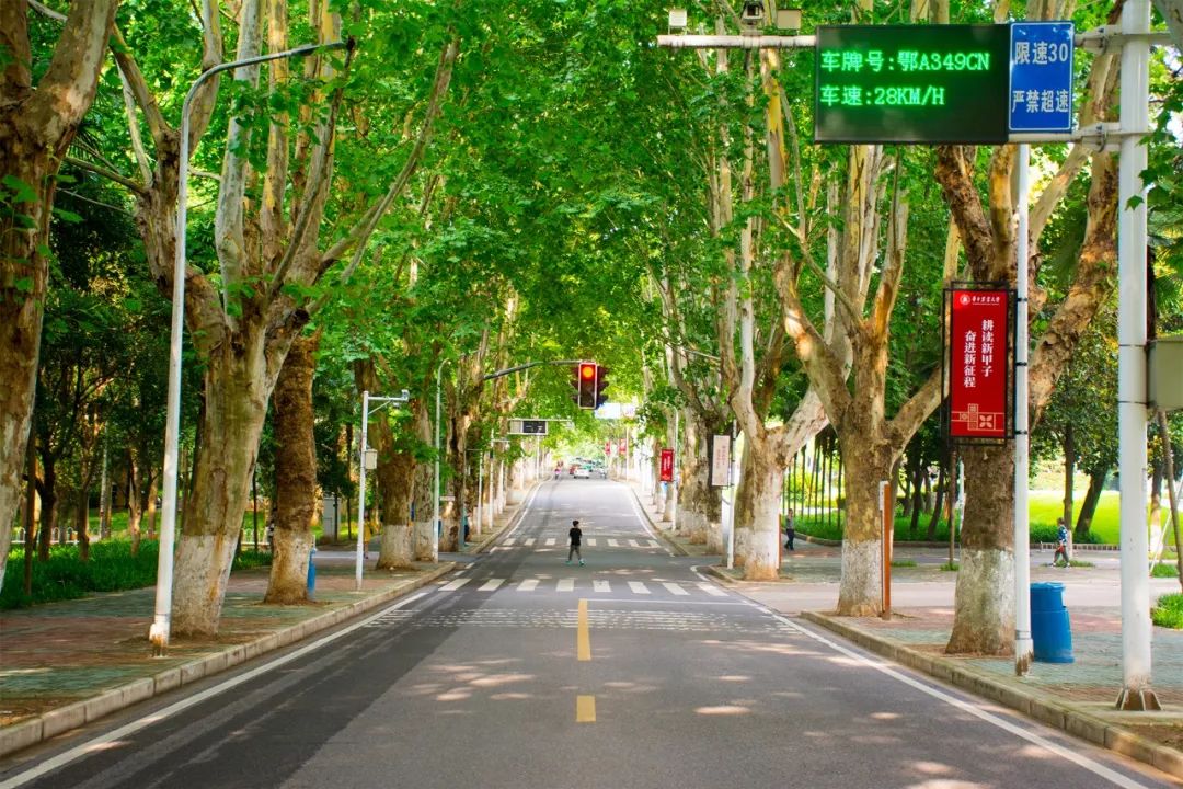 全国第一！华中农业大学真是太太太牛了