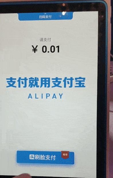 支付宝刷脸设备里小程序容器更新,怎么搭建支付宝刷脸支付系统