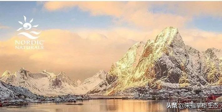 挪威小鱼dha婴幼儿鱼油,美国dha婴儿鳕鱼油