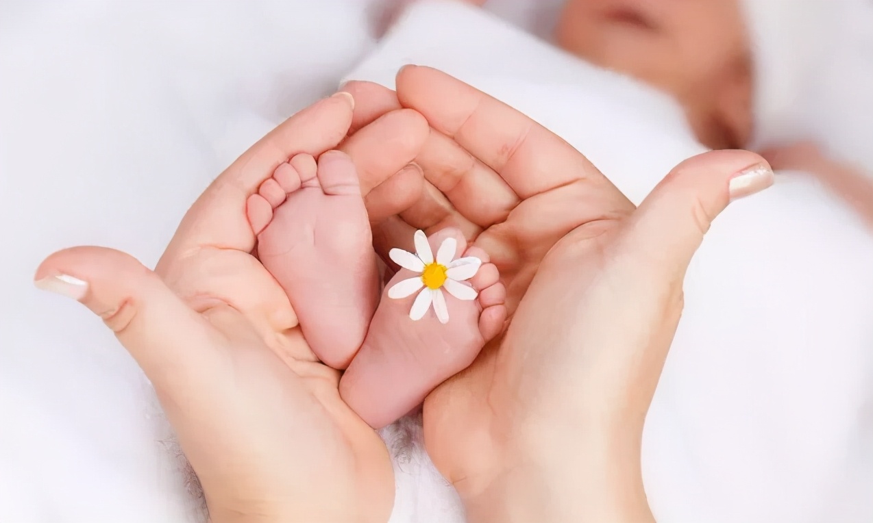 我的卵子是怎么排出来的,我的卵子没精子怎么办