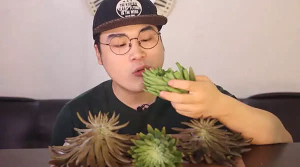 韩国小哥吃播多肉植物，整棵多肉直接啃，网友：有点心疼这多肉
