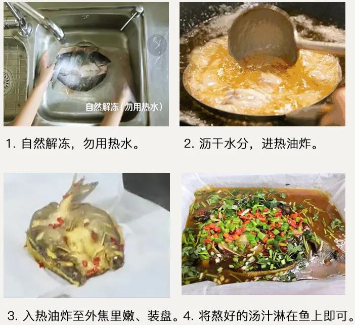 开片叉尾鮰鱼,叉尾鮰鱼科普