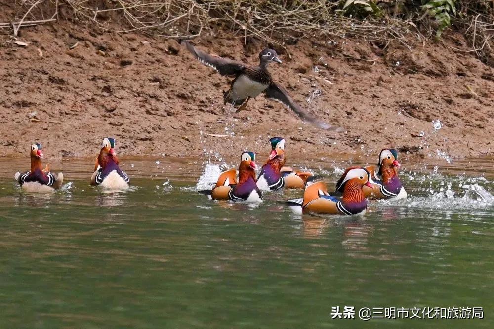 嗨！重新认识一下，我叫建宁！进来为我投票吧！