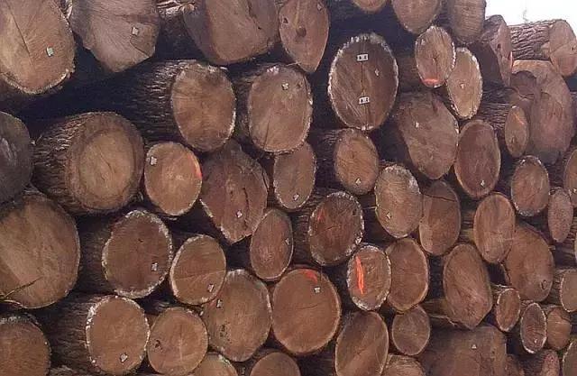 玩木头的乐趣,玩木头的18个基本知识