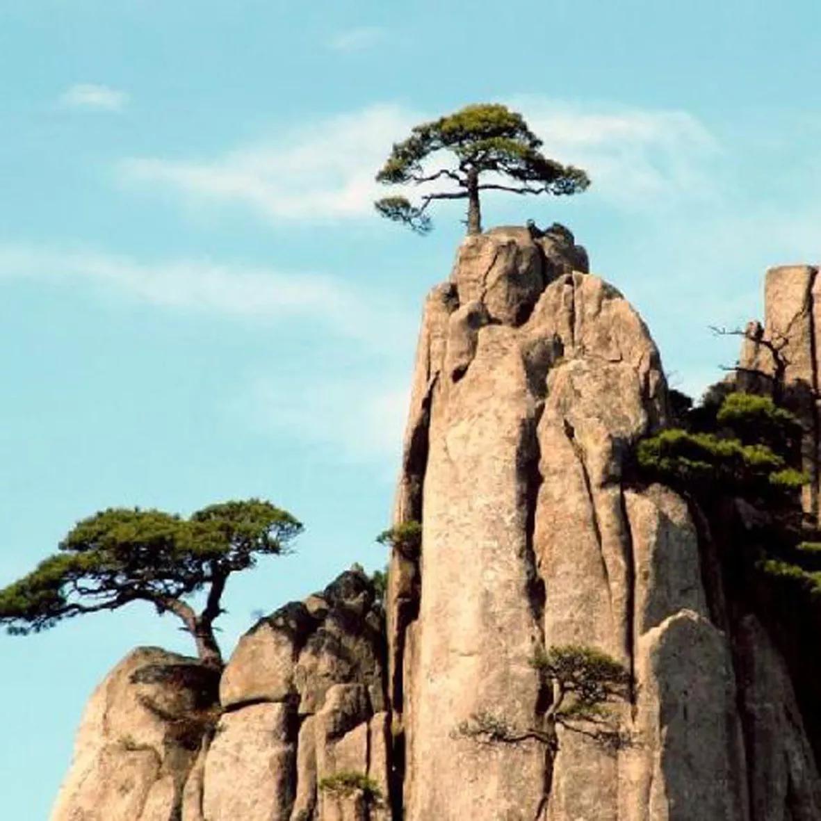 醉美黄山景区,醉美黄山行视频