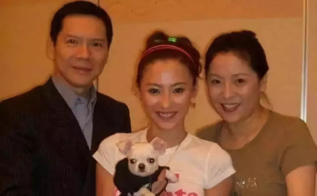 向太陈岚发长文痛骂周星驰,向太陈岚对张柏芝的评价