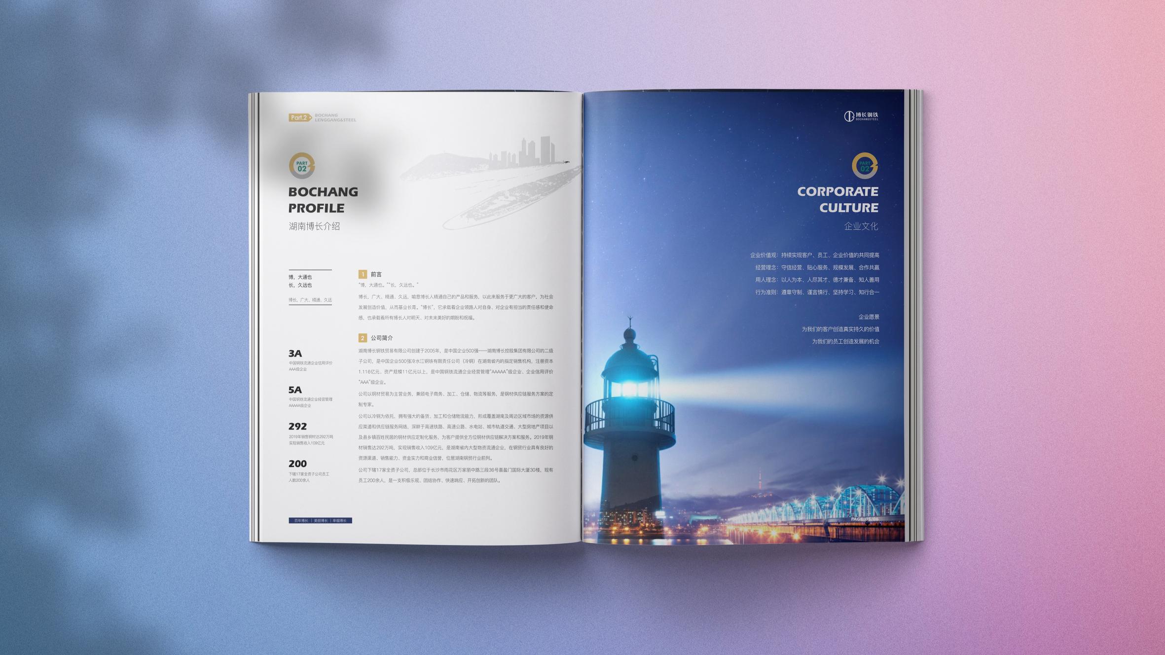 常德博长钢铁贸易有限公司,衡阳博长钢铁贸易有限公司技改