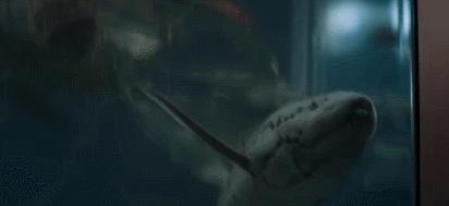 中国悬疑电视剧排行榜前十名,伪装者潜伏在黎明之前