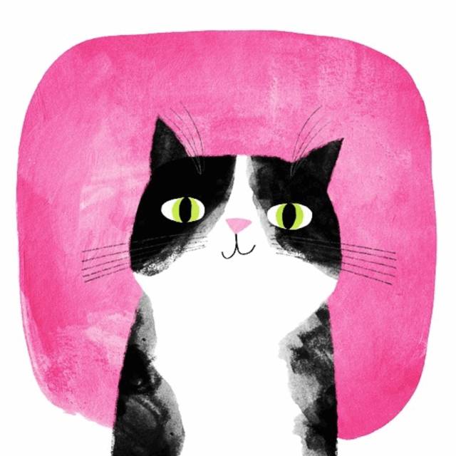 姑娘1天画1只猫坚持了100天 (坚持画猫100天的姑娘太有才了)