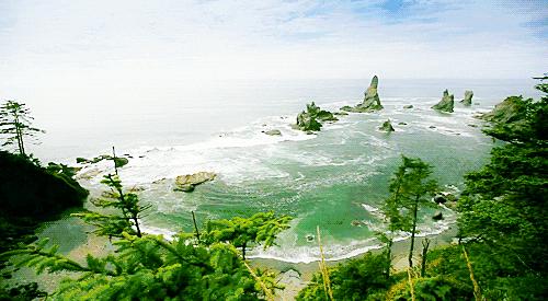 夏日“绿”调丨听说这种色系的办公室，让人不想下班