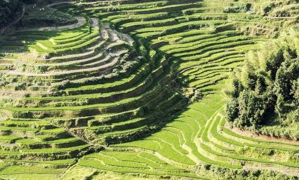 军事地形学书,军事地形学识图用图书籍