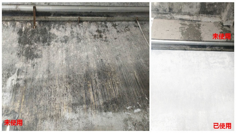 高温天气霉菌怎么处理,南方回南天除湿除霉