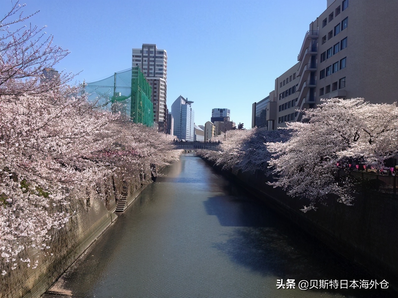 日本东京最适合居住的城市排名 (日本东京哪里更宜居)