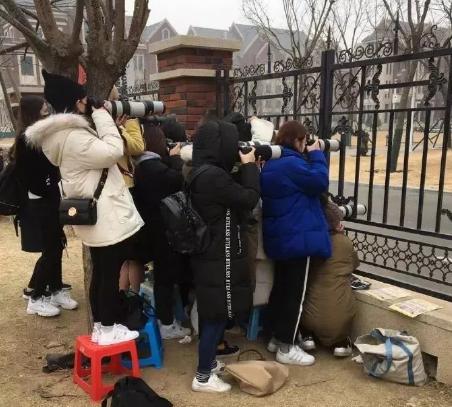 抓拍、P图、集资和出道，被逼出来的神仙技能，明星站姐太强大！