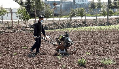 疫情防控春耕两不误宣传图,保春耕促生产防疫农耕两不误