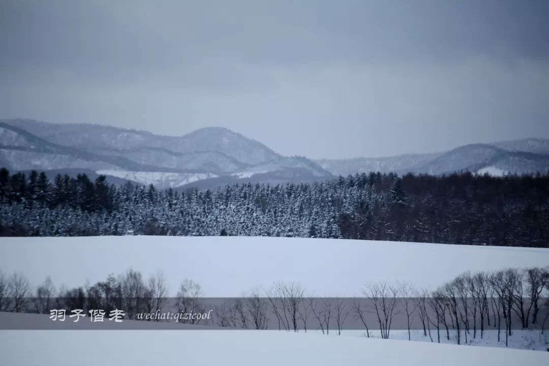 老实说，这一趟北海道就是为了拍好看的照片去的