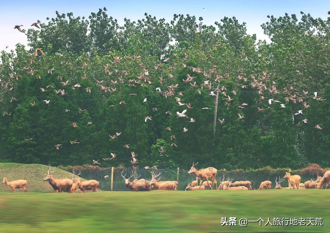 原来它才是江苏最安逸城市，累了就去小住几天