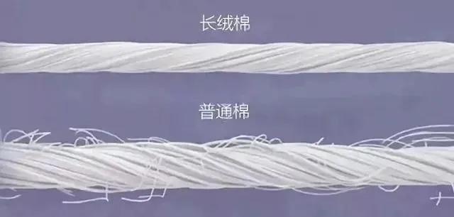 好的生活不必太贵,好的生活没那么贵但要用心