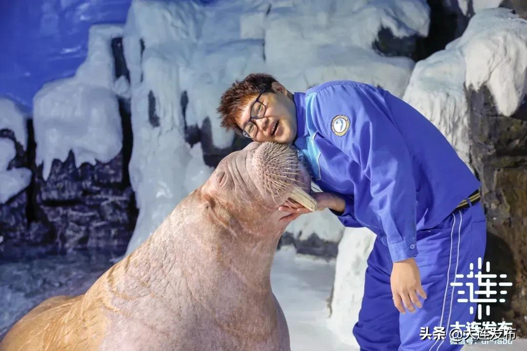 大连自驾游西藏最佳线路,大连奇葩10条线路