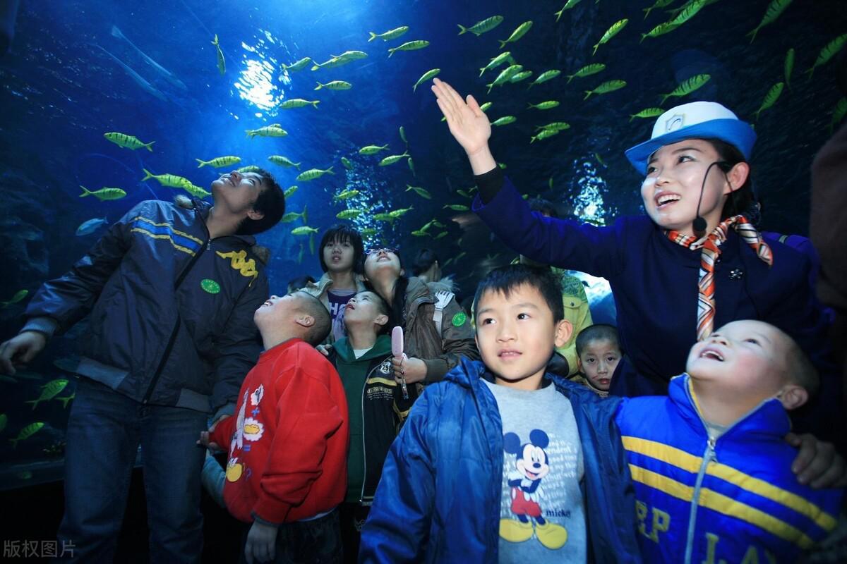 天津极地海洋馆两大一小攻略,天津第一地标