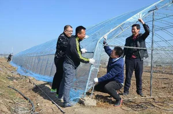 乡村振兴水稻春耕,乡村振兴春耕农忙