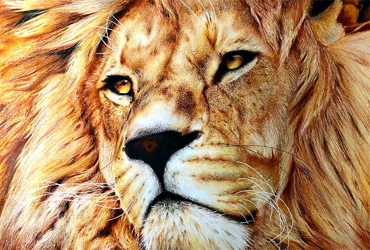 失明女孩铅笔画,保护视力守护心灵素描画