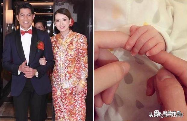 潘玮柏综艺节目当爸爸,潘玮柏当爸爸啥综艺