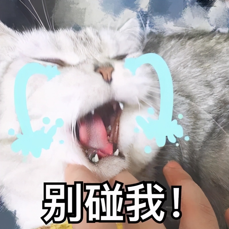 得了口腔溃疡才叫有苦说不出,口腔溃疡的疼是让人纠结的疼