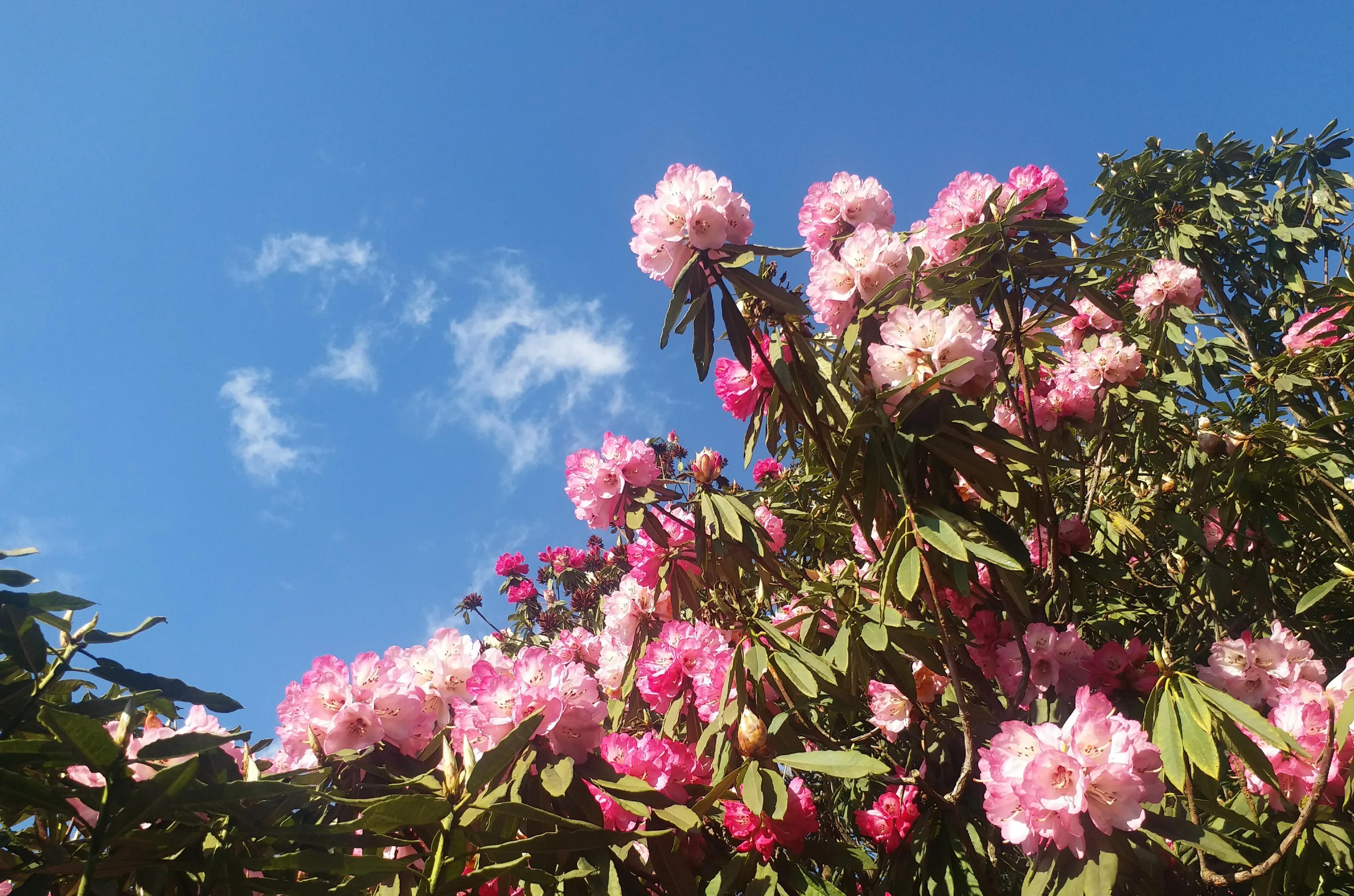 毕节五日游,贵州毕节五日游攻略