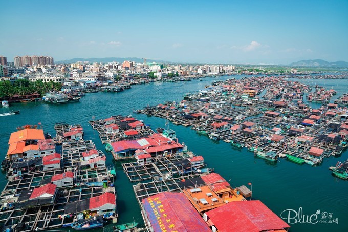 三亚南湾猴山岛,三亚南湾猴岛好玩的地方