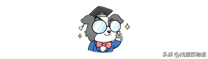 狗狗生病应该吃什么药最好,狗狗生病了不打算治了