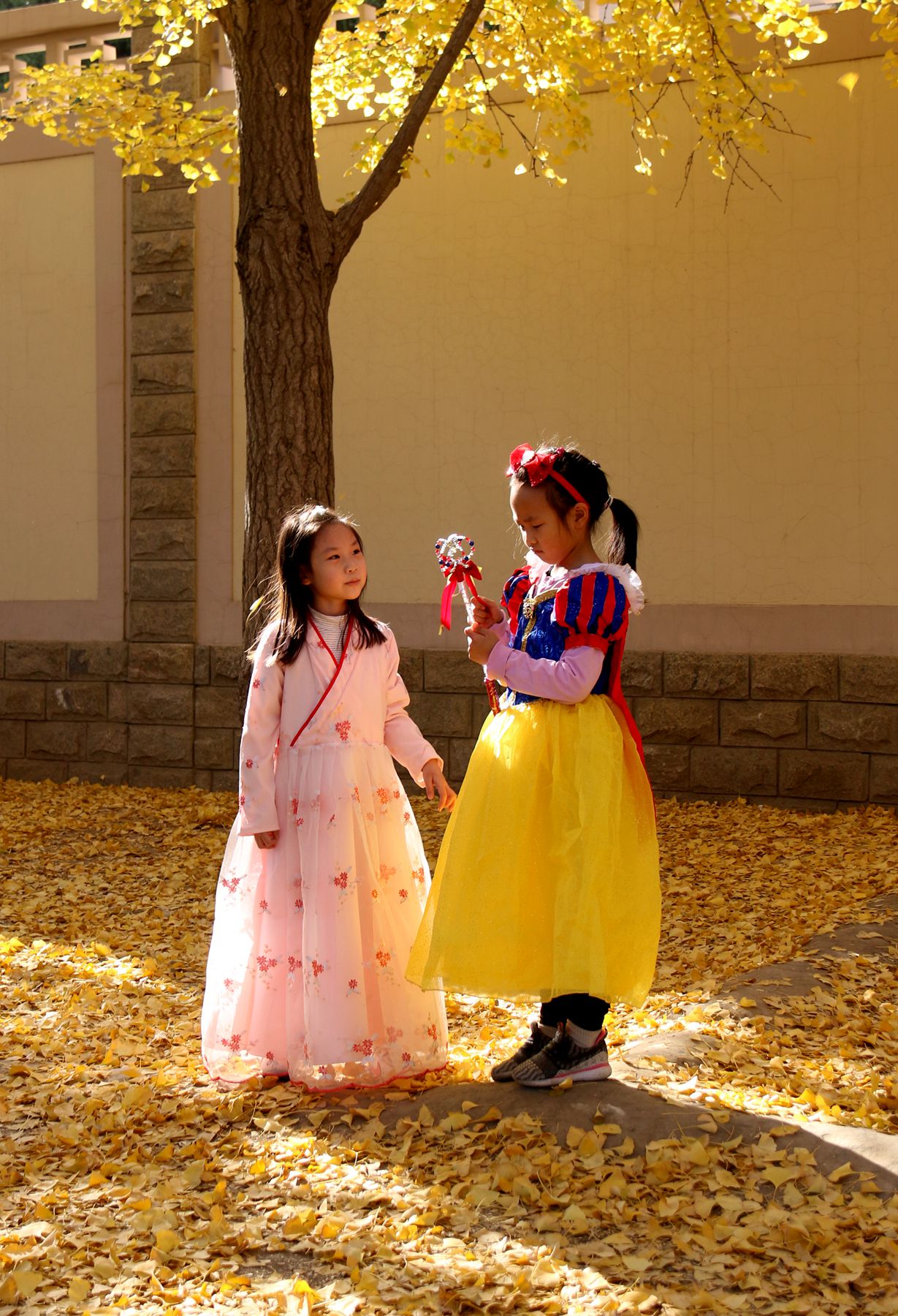 北京钓鱼台国宾馆银杏树大道,北京钓鱼台银杏大道图片