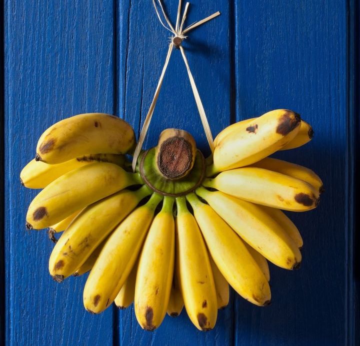 水果杂交冷知识,你不知道的水果冷知识