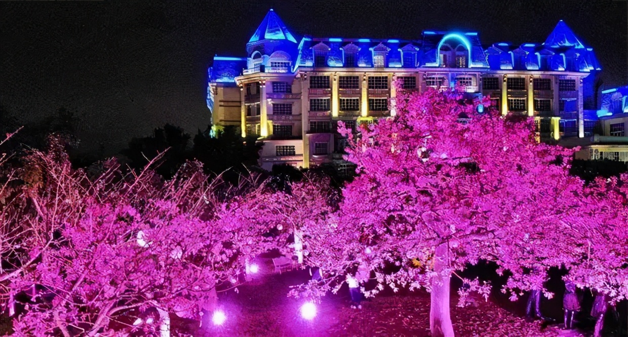 南沙葵园花海景区,广州南沙万顷葵园最佳旅游时间