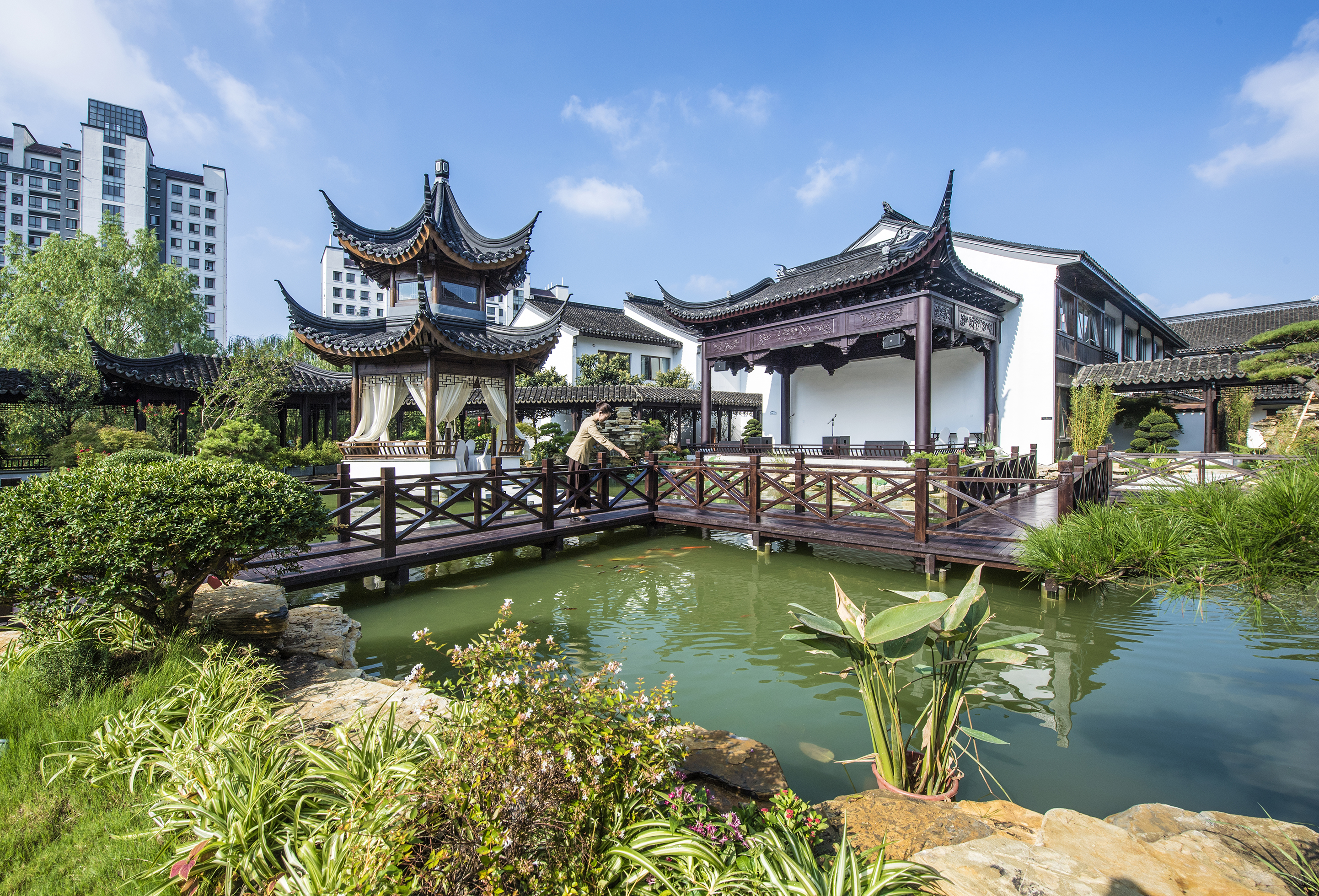 苏州是个温柔细腻且包容的城市,苏州是个温柔的地方