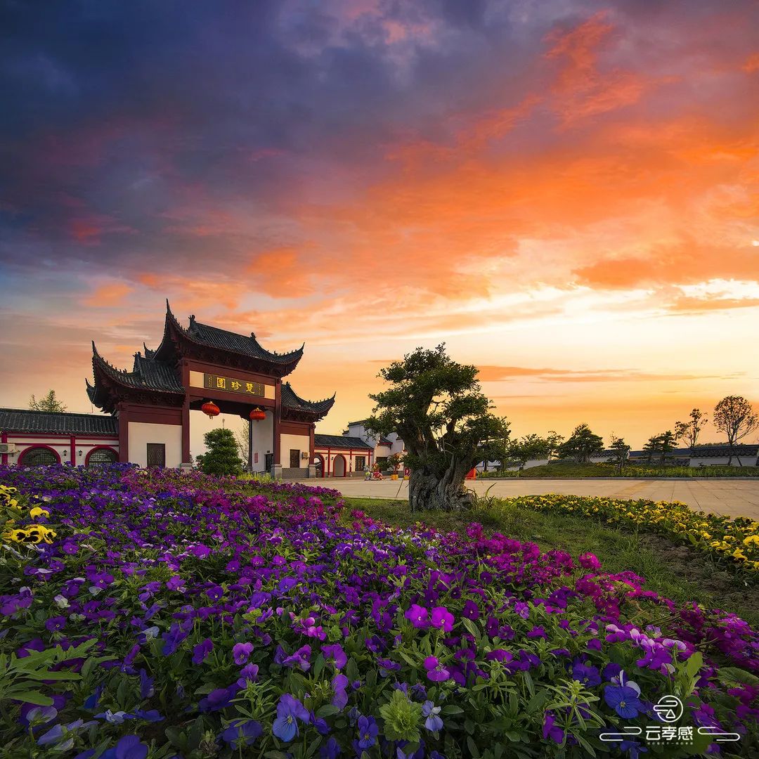 李鸿飞摄影作品初春,李鸿飞画家