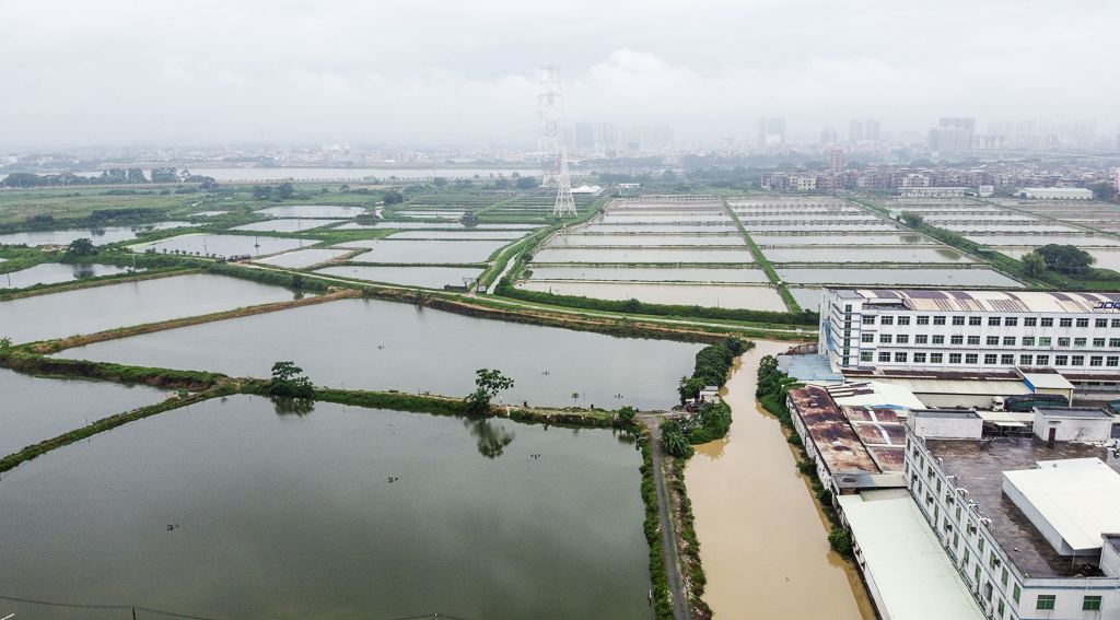 东莞石排风景航拍,东莞石排镇航拍