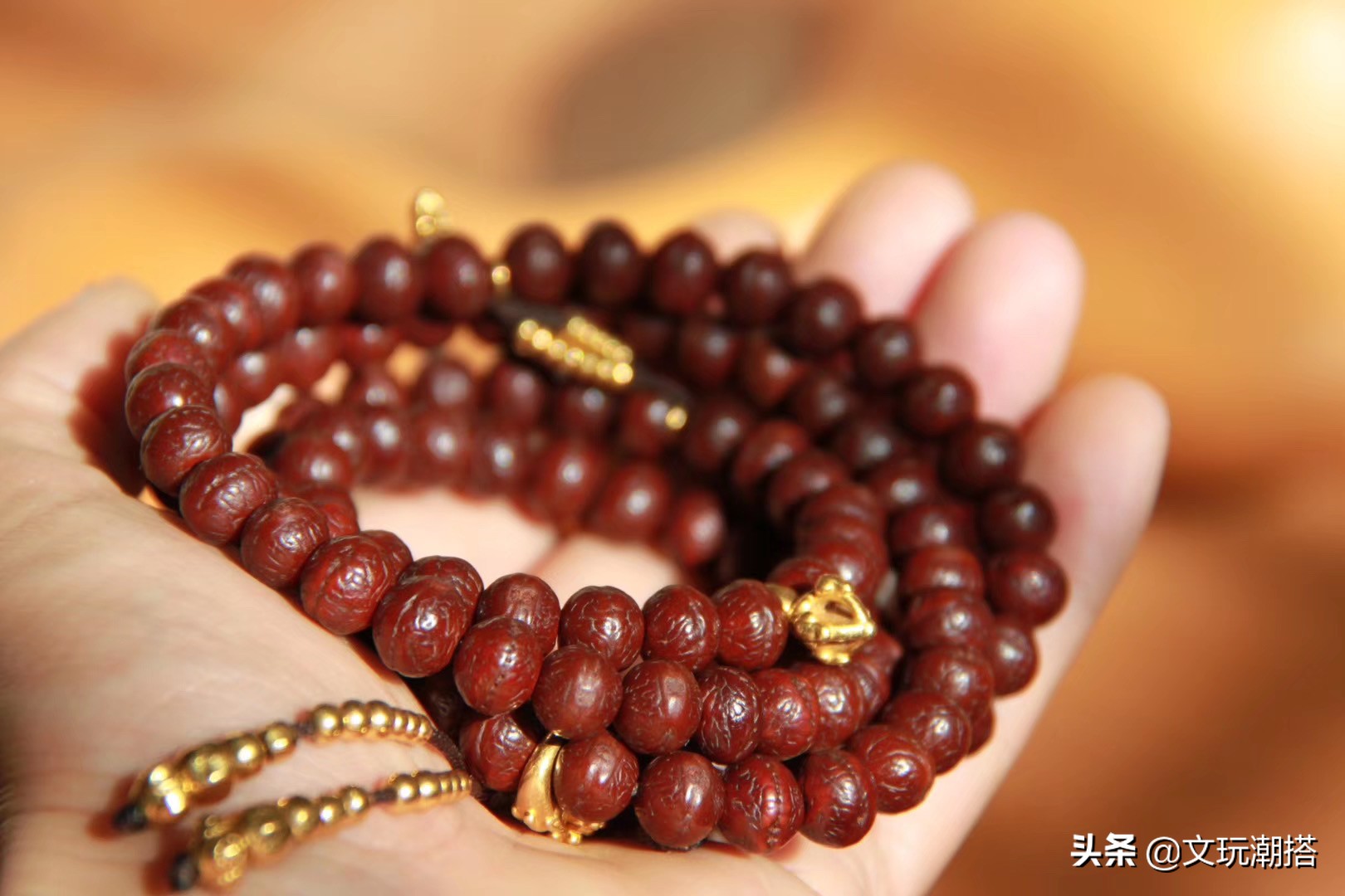 凤眼菩提为什么有的小尺寸就便宜,凤眼菩提怎么看品相