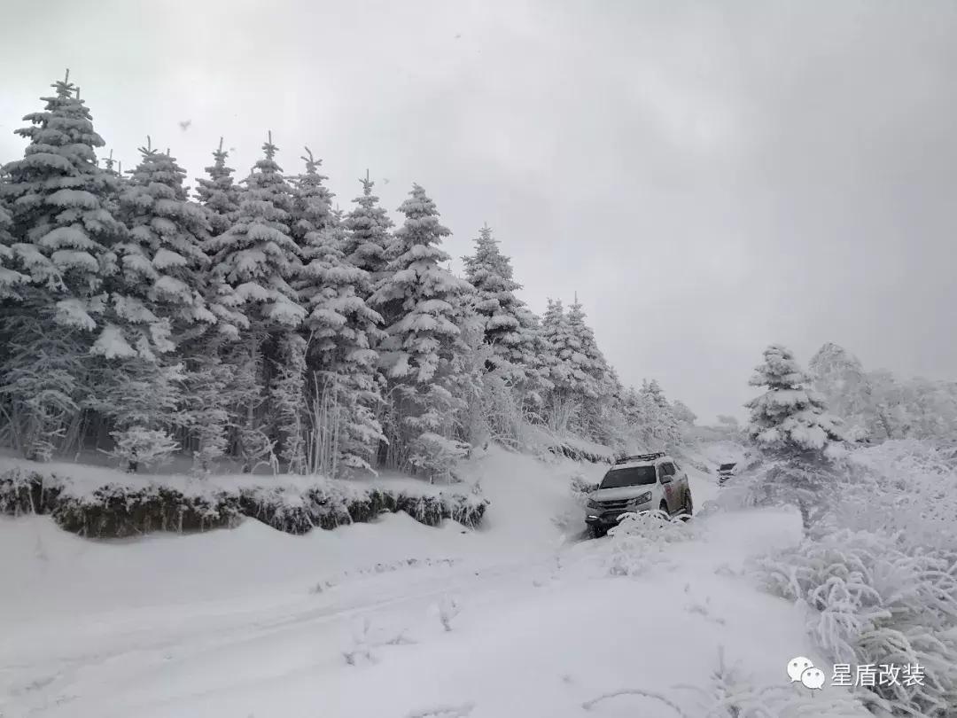 柴油车多少度会冻油,柴油车零下40度冻了