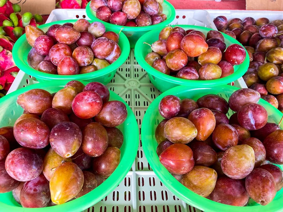 不错挺便宜的早市,附近比较旺的早市