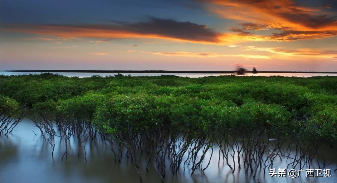 北海环广西,2023环广西公路赛震撼场面