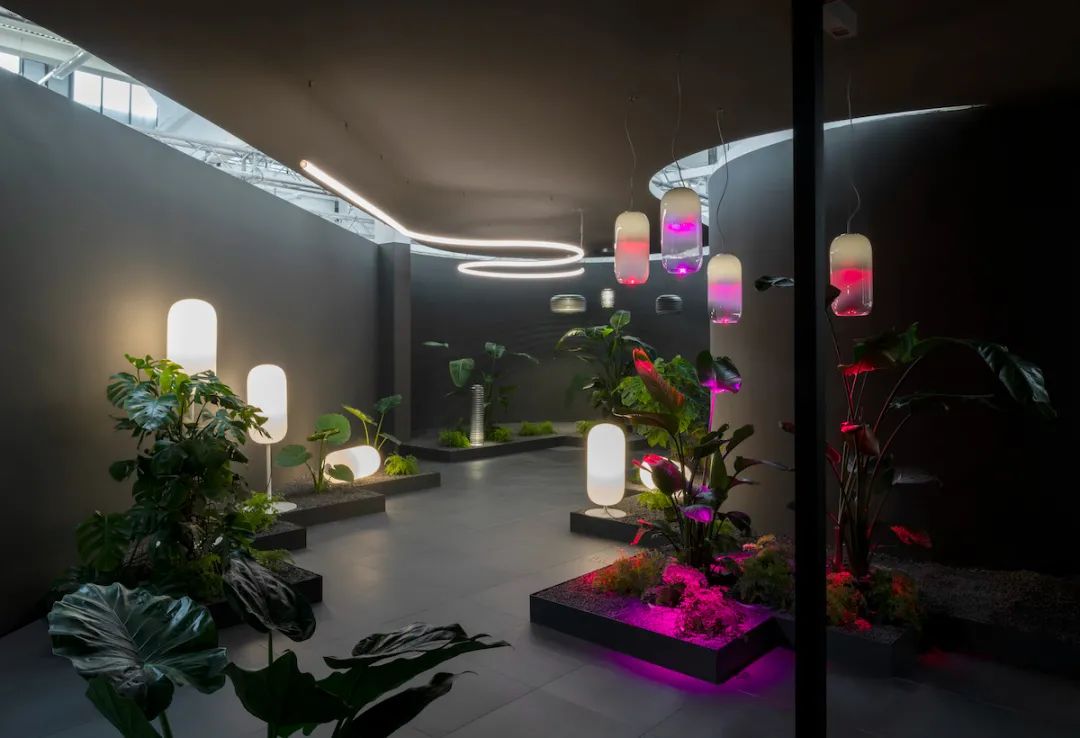 设计师必看展会2024,设计师必看的设计视频