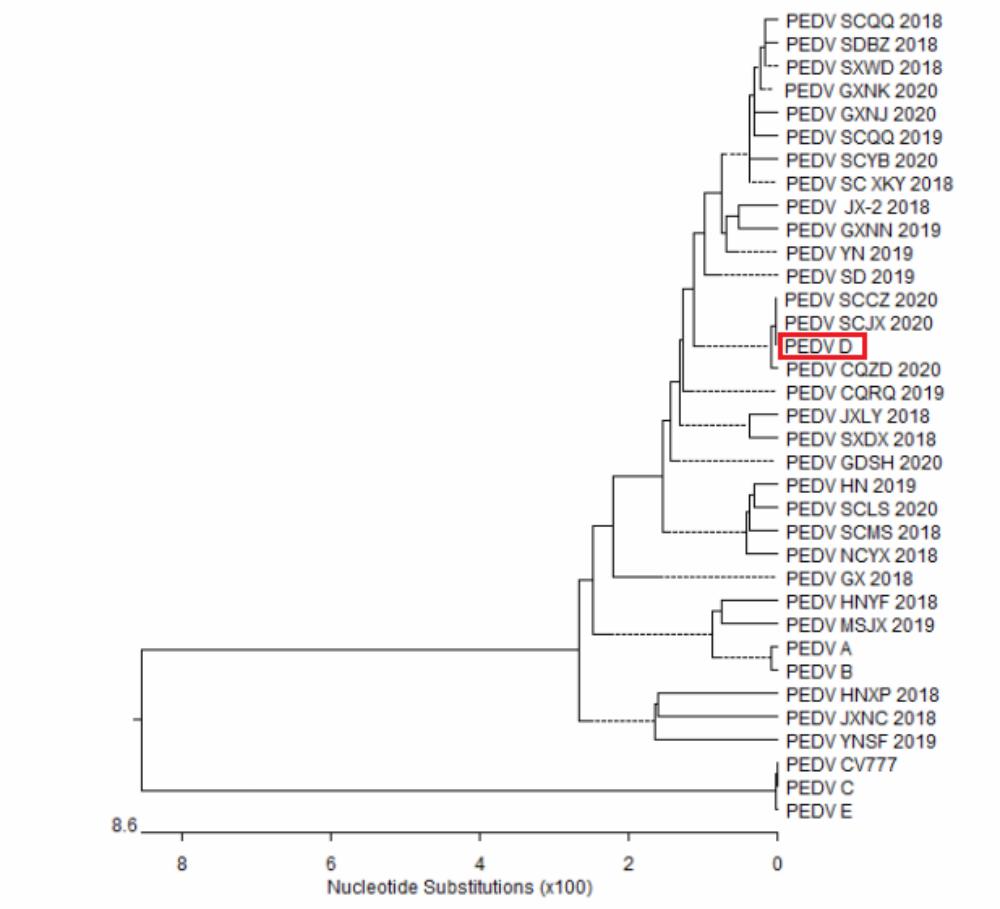 腹泻疫苗是口服的还是注射的,腹泻的疫苗除了轮状的还有哪些