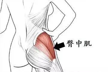 走路臀部晃,正确的走路臀部发力